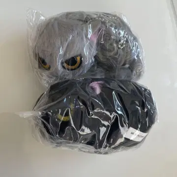 친근하지 않은 고양이, 부모님 집의 고양이, 생선가게의 고양이