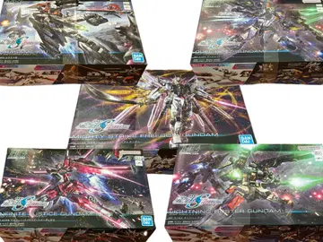 HG 1/144 건담 시드 프리덤 시리즈 건담 프라모델 5개 세트
