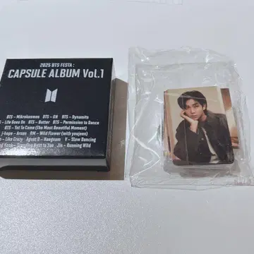 BTS 2025 페스타 캡슐 앨범 RM