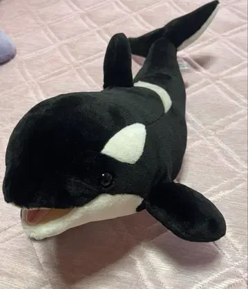 고베 스마 씨월드 오루카 샤치 봉제 인형 리얼 큰
