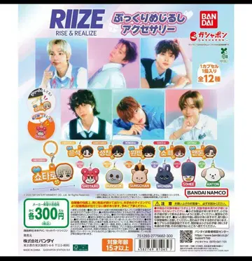 RIIZE 통통한 메지루시 액세서리 가챠 컴프