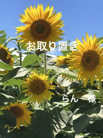 물풍선 참