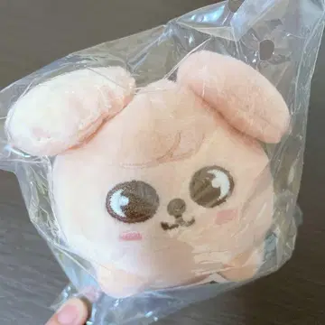 스키즈 미니 백 참 승민