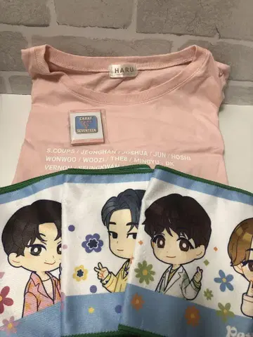 SEVENTEEN 세부치 티셔츠 HARU XL 제일복권 라스트원