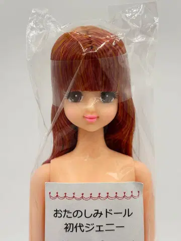 초대 제니 리카짱 캐슬 오타노시미 인형 브라운 제니 프렌드