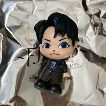 Mrs. GREEN APPLE 와카이 코토 FJORD 가챠