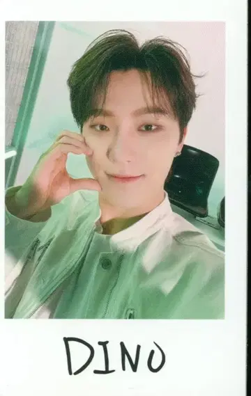 세븐틴 DINO 2024 FOLLOW AGAIN TO JAPAN 셀카
