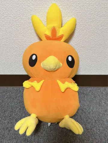 포켓몬스터 아차모 혼와카 포카포카