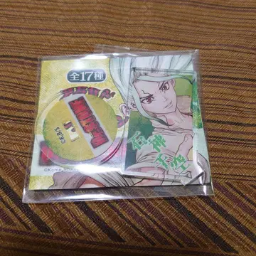 Dr.STONE 아크릴 피규어 이시가미 치쿠루