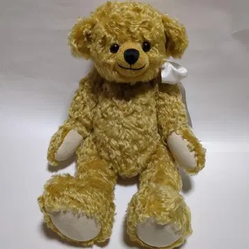 Schulte의 테디베어 봉제 인형!