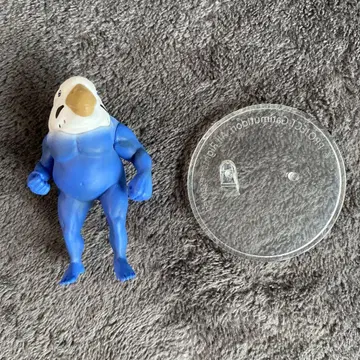 근육질 새, 인코 씨