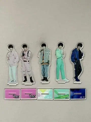 AXXX1S 다나카 신지로 세트(덤 포함)
