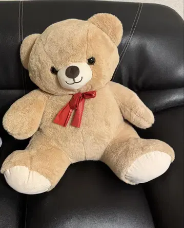 Cafe's Bear BIG 봉제 인형
