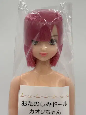 카오리짱 오타노시미 인형 리카짱 캐슬 리틀 팩토리
