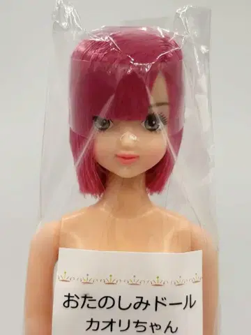 카오리짱 오타노시미 인형 리카짱 캐슬 리틀 팩토리