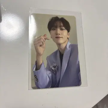 SEVENTEEN 성광 춤추는 꽃잎 트레이딩 카드