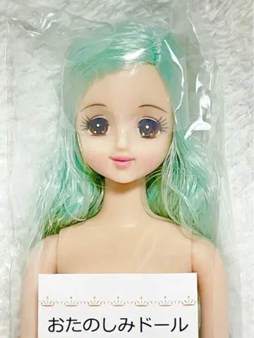 초대 제니 리카짱 캐슬 오타노시미 인형 미개봉 새상품
