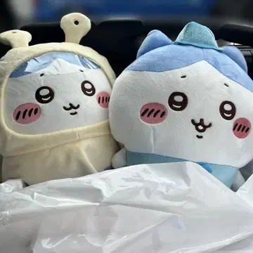하치와레 빅 봉제 인형 세트