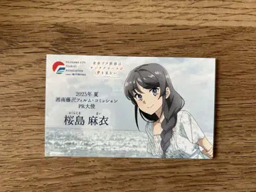 파랑 돼지 후지사와시 사쿠라지마 마이 명함 청춘 돼지