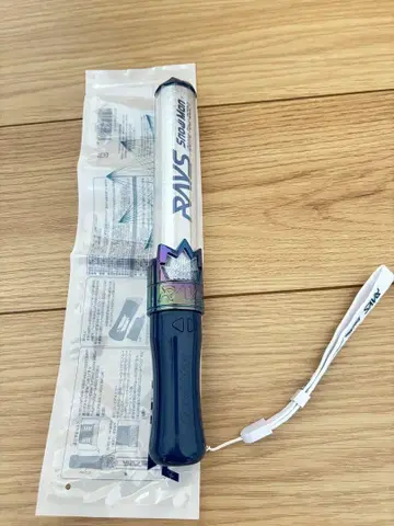 스노우맨 레이즈 돔 투어