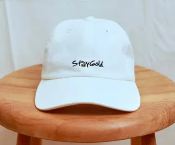 roku 6 StayGold 화이트 캡 새상품급