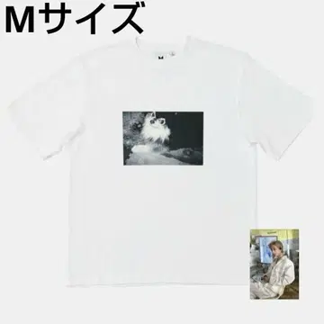BTS V 티셔츠 LAYOVER GRAY TAN 용탄 태현 M