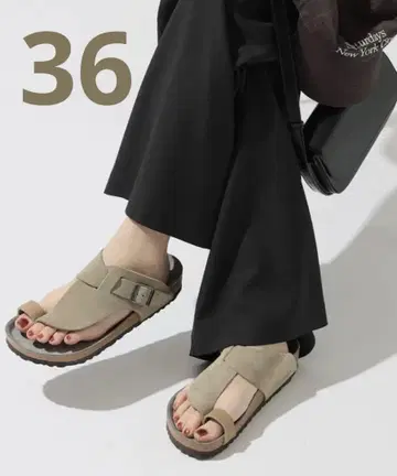 비르켄스토크 포 저널 스탠다드 36