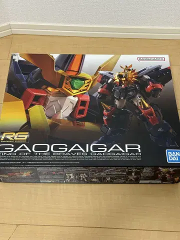 RG 가오가이거