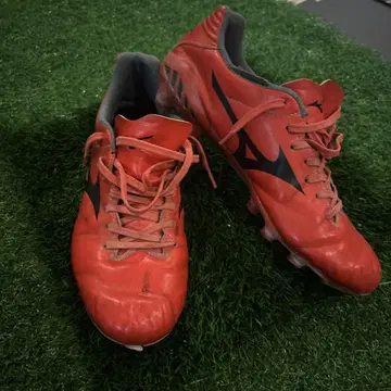 Mizuno 모나르시다 네오 스파이크 24.5