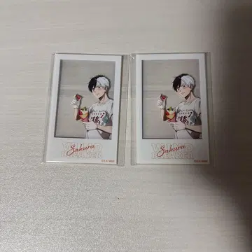 WIND BREAKER 마리오 크레이프 벚꽃 하야