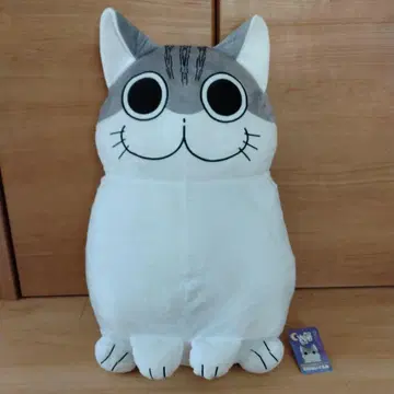 밤에는 고양이와 함께 BIG 봉제 인형 GIGO 한정판 쿠루가