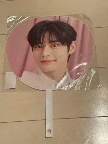 김지은 부채