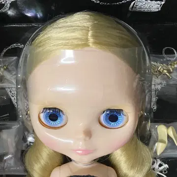 타카라토미 네오 브라이스 패션 오브 세션 제나 시리얼 넘버 포함