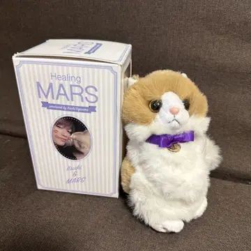 후지와라 키 프로 마즈 MARS