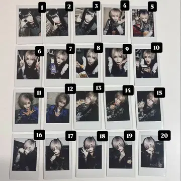 덴노 히메카 독이 묻은 이빨 폴라로이드 장미 가능