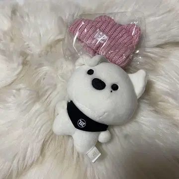 THE BOYZ 에릭 미니 인형 봉제 인형