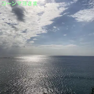 월드 컬렉션 원피스 카마바카 왕국 전 5종 상자 없음