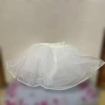 드레스 파니에
