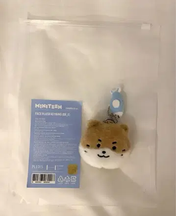 SEVENTEEN 디노 MINITEEN 팝업 키링