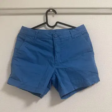Patagonia 숏팬츠