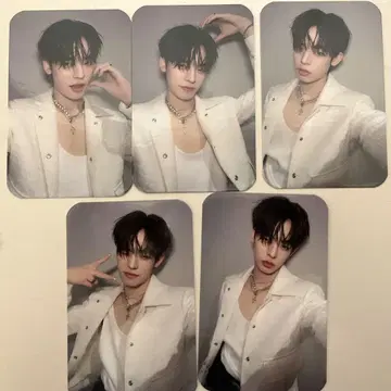 DEXX Por 셀피 트레이딩 카드 Domundi DMD