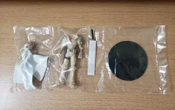 캡콤 피규어 진 사오토메 니시무라 키누