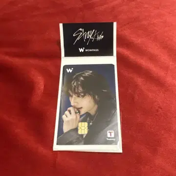 Stray Kids WOWPASS 와우패스 스키즈 공식 카드 현진