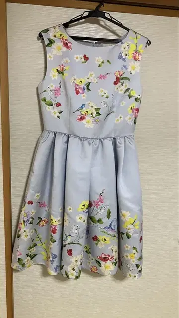 Chesly 스카이블루 꽃무늬 슬리브리스 원피스