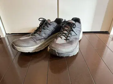 호카오네오네 스피도 고트 4