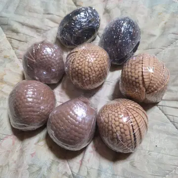 생물대도감 아르마딜로 6마리, 거북이 2마리