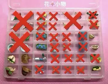 실바니아 꽃 잡화