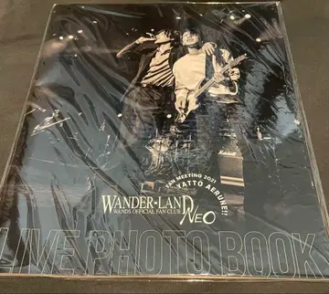 최종 가격 인하 WANDS 5기