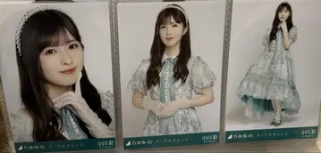 네이블 오렌지 오가와 아야 브로마이드 컴프 노기자카46