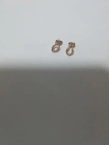 k10 말발굽 귀걸이